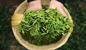 &#24320;&#20113;&#40;&#20013;&#22269;&#41;&#75;&#97;&#105;&#121;&#117;&#110;
