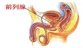 &#24320;&#20113;&#40;&#20013;&#22269;&#41;&#75;&#97;&#105;&#121;&#117;&#110;