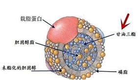 &#24320;&#20113;&#40;&#20013;&#22269;&#41;&#75;&#97;&#105;&#121;&#117;&#110;