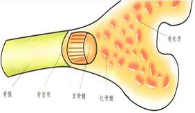 &#24320;&#20113;&#40;&#20013;&#22269;&#41;&#75;&#97;&#105;&#121;&#117;&#110;